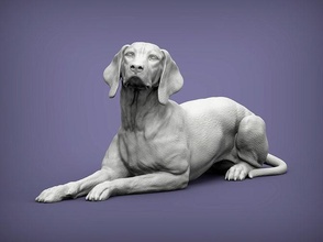 Macarca Vizsla işaret köpek 3d Yazdır model doğa memeli hayvan Evcil Hayvan heykel heykelcik hatıra Sanat heykeller yazdırılabilir 3d print model - Mito3D