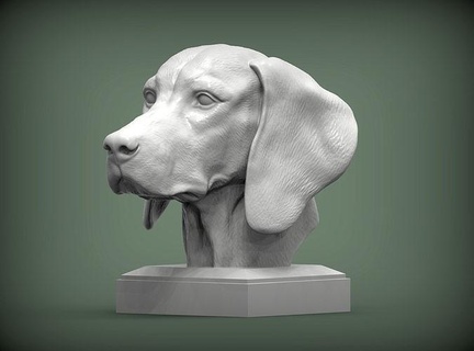 húngaro vizsla señalando perro 3d impresión modelo naturaleza mamífero animal mascota escultura estatuilla recuerdo presente Arte esculturas imprimible caza busto 3d print model - Mito3D