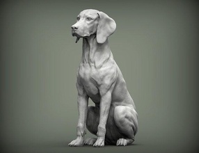macarca vizsla işaret köpek doğa memeli hayvan evcil heykel heykelcik hatıra 3d yazdır model sanat heykeller yazdırılabilir avcılık 3d print model - Mito3D