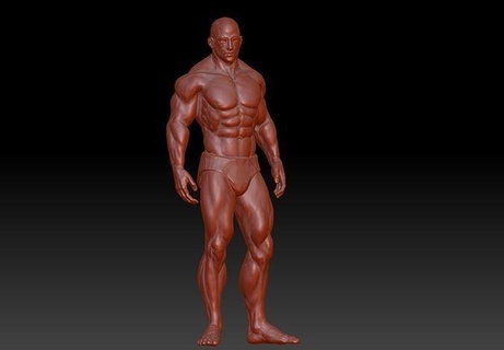 iri parça adam 3d model şekil erkek kas insan vücut baskı indir stl Sanat 3d print model - Mito3D