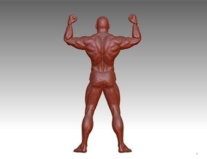 pedazo hombre 3d modelo figura masculino músculo humano cuerpo impresión descargar stl Arte 3d print model - Mito3D