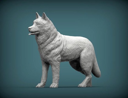rouco cão natureza mamífero animal escultura estatueta lembrança 3d impressão modelo esculpir esculturas puxar trenó neve arte 3d print model - Mito3D