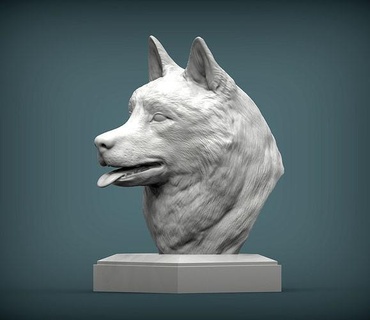 rouco fracasso cão natureza mamífero animal escultura estatueta lembrança presente 3d impressão modelo esculpir esculturas puxar trenó neve arte 3d print model - Mito3D
