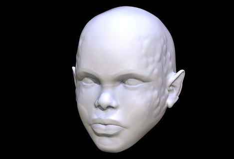 Hybrid Kopf Bildhauerei weiblich Mädchen Frau jung Außerirdischer ziemlich niedlich Reptilien Kunst Skulpturen 3d print model - Mito3D