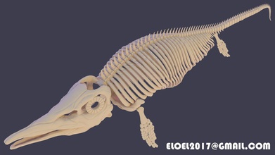 ictiossauro crocodilo esqueleto natureza animal 3d impressão realista mar temnodontossauro fotoreal dinossauro dinossauros réptil selvagem casmosaurus styracosaurus velociraptor braquiossauro peixe ciência 3d print model - Mito3D