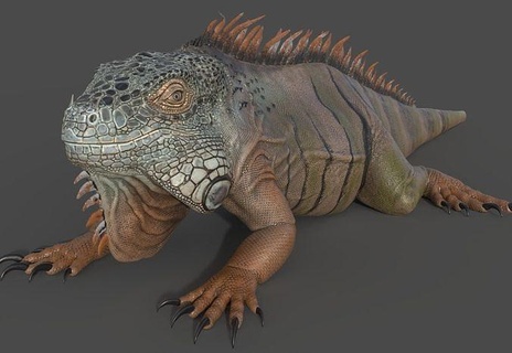 iguana - reptile creature beast character fantasy animal animals lizard nature art sculptures 3d print model - Mito3D