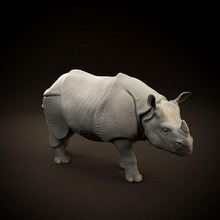 indiano rinoceronte pretendido 3d impressão asiática blindado imprimível animal escultura miniatura mini figura estátua realista mamífero arte esculturas 3d print model - Mito3D