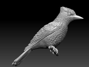 arrendajo pájaro ruiseñor zimarodok abubilla teta cuco piñonero gorrión loro Jaybird aves escultura impresión estatua Arte esculturas 3d print model - Mito3D