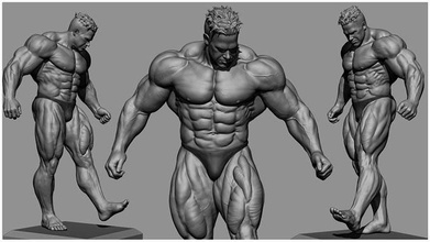 jay cutler bodybuilder jaycutler bodybuilding body gym trainer excercise weight sport anatomy male sculpting zbrush 3d malebody character men man games toys 3d print model - Mito3D
