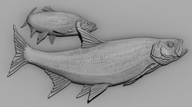 jereh aspic poisson carpe animal océan mer requin bateau art sculptures 3d print model - Mito3D