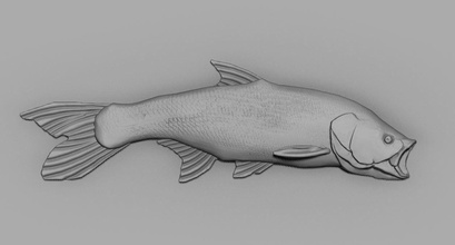 jereh poisson aspic l'eau animal mer Fruit art sculptures 3d print model - Mito3D