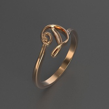 la joyería del diamante hermoso anillo de flowe carta impreso en 3d modelo oro imprimible el platino plata sterling dedo alfabeto fuente lenguaje cooper los anillos 3d print model - Mito3D
