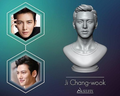 ji chang-wook portrait chang wook sculpture monochrome actor art sculptures korean 3d print model - Mito3D