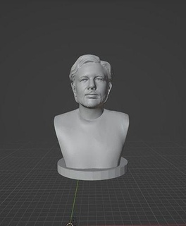 julian assange julianassange attivista per Wikileaks australiano arte sculture 3d print model - Mito3D