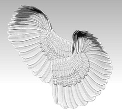 ailes 3d modèle ange oiseau cupidon aile dieu valentin flèche passion jésus religiou animal réaliste détaillé imprimable art 3d print model - Mito3D