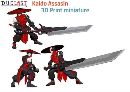 Kaido assassino Guerreiro fantasia scifi jogos herói miniatura estatueta duelyst manga brinquedos acessórios 3d print model - Mito3D