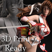 kasumi hayran sanat 3d yazdır namaz ölü diri fanart 3dprint heykelcik yazdırılabilir reçine heykel heykeller 3d print model - Mito3D