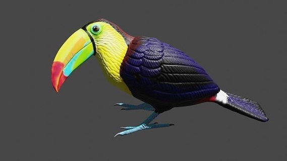 keel billed toucan bird animals animal feather wildlife rainforest colourful cute 3d printable hand painted art sculptures 3d print model - Mito3D
