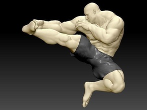 golpear puñetazo hombre Boxer marcial letras lucha acción deporte Arte esculturas 3d print model - Mito3D