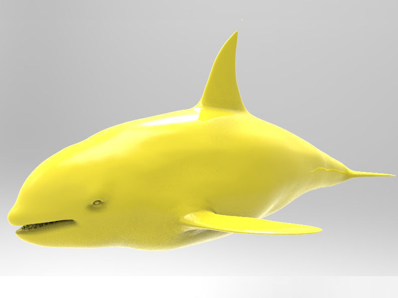 la ballena asesina art asesino killerwhale de pescado depredador el tiburón mandíbula matar océano mar agua salvaje animal impresión imprimible juguete los juguetes real realista estatua las esculturas 3D print model - Mito3D