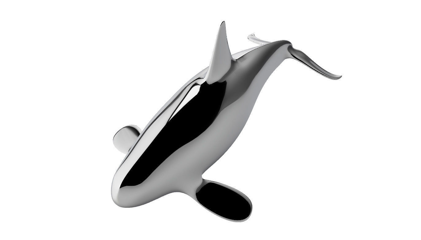 uccisore balena orca assassina acquatico balene delfino squalo seaworld mare animali gobba pesce oceano mammifero marino pinne acquario barriera corallina scienza biologia 3D print model - Mito3D