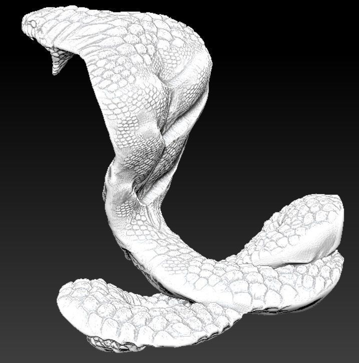 king cobra ophiophagus hannah proteroglyph snake python fang venom poison jungle forest india evil scale reptile 3d printable print cnc jewelry 3D print model - Mito3D