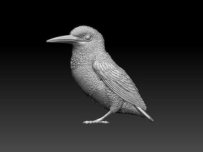kingfisher bird birds print statue sparrow art sculpture sculptures 3d print model - Mito3D