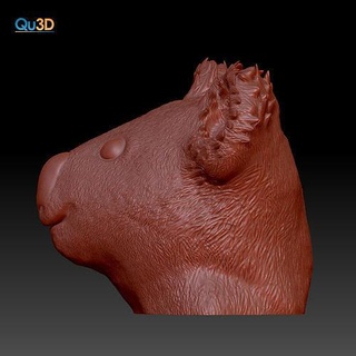 Koala bust high end 3d drucken Modell qu3d stl Datei datei druck Tier tiere wildtier wild Kunst Skulpturen 3d print model - Mito3D