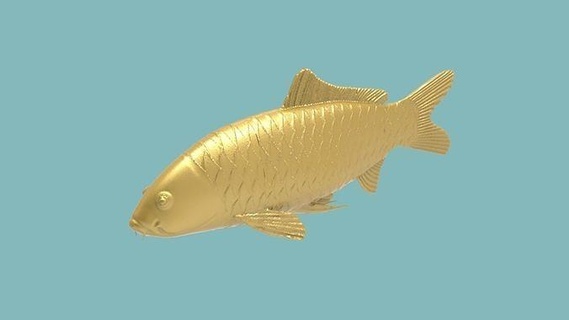 koi pesce 3d stampa modello arte animale arredamento decorazione acquario scolpire scultura animali acqua natura rosso sott'acqua mare oceano sculture 3d print model - Mito3D