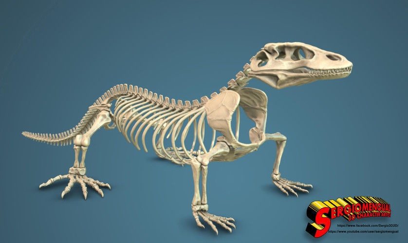 dragon komodo squelette 3dprinted anatomie crâne reptile varan dinosaure lizzard numérique sculpter sculpture statue animal os science biologie 3D print model - Mito3D
