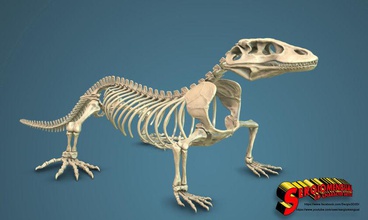 draghi komodo drago scheletro 3dprinted anatomia cranio rettile varano dinosauro lucertola digitale scolpire scultura statua animale ossatura scienza biologia 3d print model - Mito3D