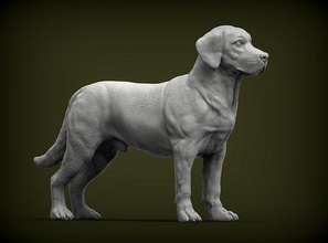labrador perro naturaleza mamífero animal mascota escultura estatuilla recuerdo 3d impresión modelo arte esculturas estatua imprimible 3d print model - Mito3D