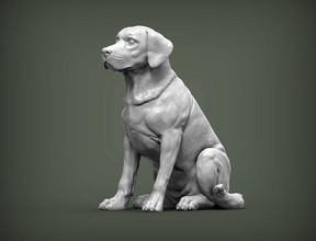 labrador köpek doğa memeli hayvan evcil heykel heykelcik hatıra 3d yazdır model sanat heykeller yazdırılabilir 3d print model - Mito3D