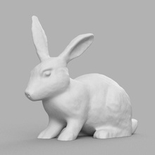 lapin animal zoo miniature figurine rabbit bunny nature tiger statue lion art sculptures 3d print model - Mito3D