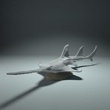 dente grande pesce sega animale squalo creatura marino oceano compagno acquario realistico scultura figura figurina miniatura diorama giocattolo arte sculture 3d print model - Mito3D
