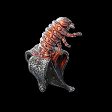 larva in banana biology anatomy science statue animal sculpture microbiology nature body alien monster creature maggot pendant jewelry pendants 3d print model - Mito3D