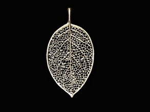 leaf design pendant necklace jewelry illustration desktop decoration steel pattern chemistry science abstract art shape jewellry pendandt scientific silver necklaces 3d print model - Mito3D