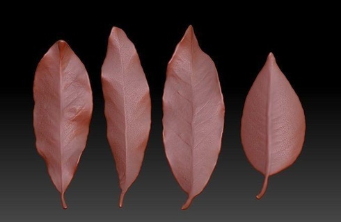 feuille feuillage leafage 3d impression feuilles flétri l'automne brosse réaliste zb pinceaux stl modèle art 3d print model - Mito3D