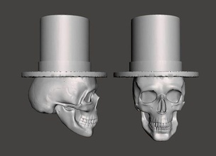 legendas escala chapéu esqueleto cabeça crânio anatomia Ciência biologia osso homem dentes corpo 3d print model - Mito3D