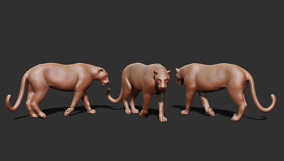 leopar hayvan hayvanlar kaplan memeli kedi puma panter Sanat heykeller 3d print model - Mito3D