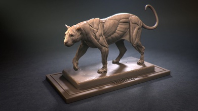 leopar ecorche heykel müze dekor sanat 3dprint şekil panthera kaplan anatomi hayvan minyatürler mimari vermek figürinler kas aslan heykeller 3d print model - Mito3D