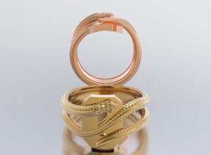 lettre serpent anneaux Bande modèle photographier cuir or argent bijou bijoux art disposition lentille moyen Matériel mode 3d print model - Mito3D