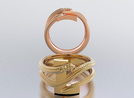 letter snake rings stripe template navigation leather page photograph layout fashion bobbin medium material image art picture frame photoframe framing jewelry 3d print model - Mito3D