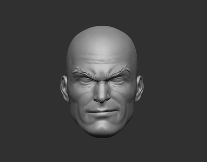 lex luthor - headsculpt action figures toy toys games character printable figure game 3dprint 3d print model - Mito3D