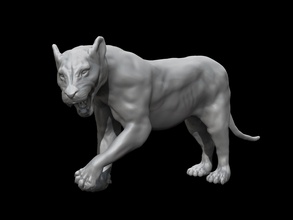 dişi aslan 3d yazdır model köpek yalan söylemek hayvan doğa minyatürler kedi yaban kedisi vahşi memeli puma kaplan hayvanlar çita baş leopar poz canavar sanat heykeller 3d print model - Mito3D