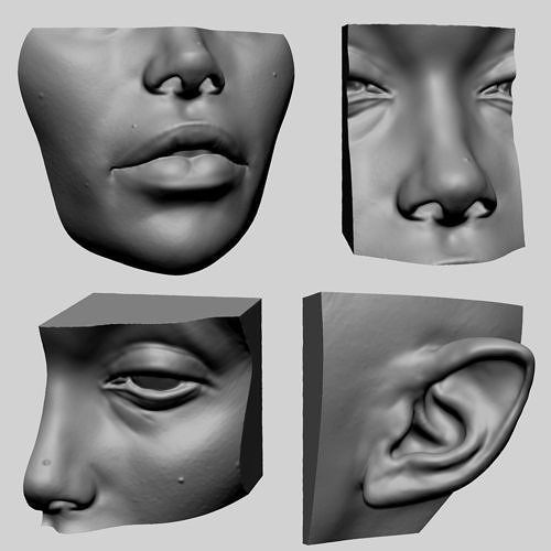 lip ear eye nose character characters mouth human people head face zbrush sculpting 3dprint printable art sculptures 3D print model - Mito3D