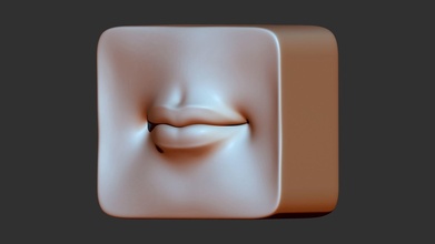 labios 3d impresión modelo anatomía mujer niña hembra belleza cara cabeza cosmético ciencias cuerpo nariz perfume up botella ojo oído biología 3d print model - Mito3D