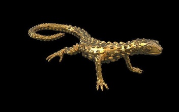 lizard lizard animal wildlife reptile gecko lacertian creeper safari zoo african zoology gold nature jewelry 