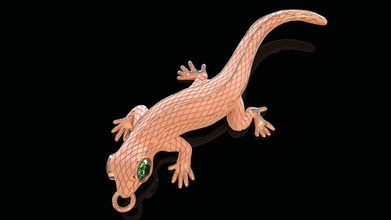 kertenkele kolye takı sürüngen iguana lacertian gecko ejderha timsah yaratık canavar newt fantezi hayali 3d print model - Mito3D