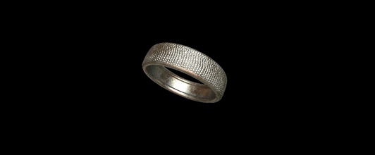 pelle di lucertola anello gioielli alluminio chrome disco platino l'acciaio metallizzato lucente argento oro il design art 3dprinting anelli 3d print model - Mito3D